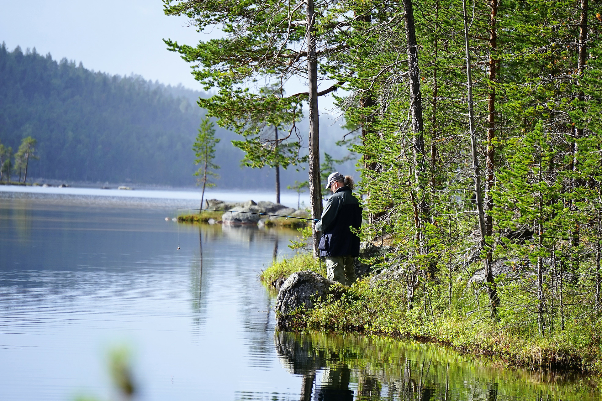 Mies järjen rannalla. Metsä oikealla. Mies katsoo veden suuntaan.